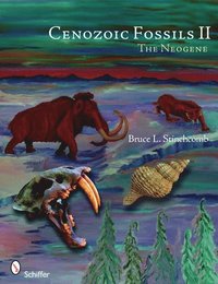 bokomslag Cenozoic Fossils II