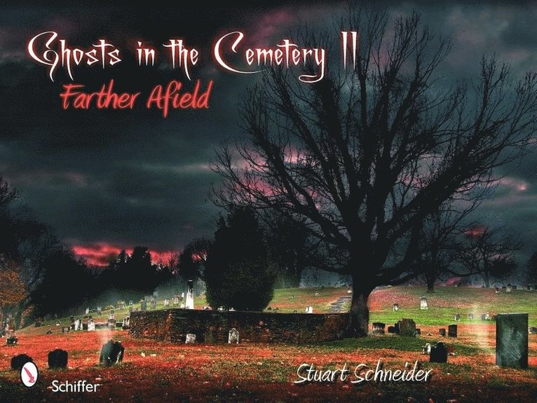 Ghosts in the Cemetery II