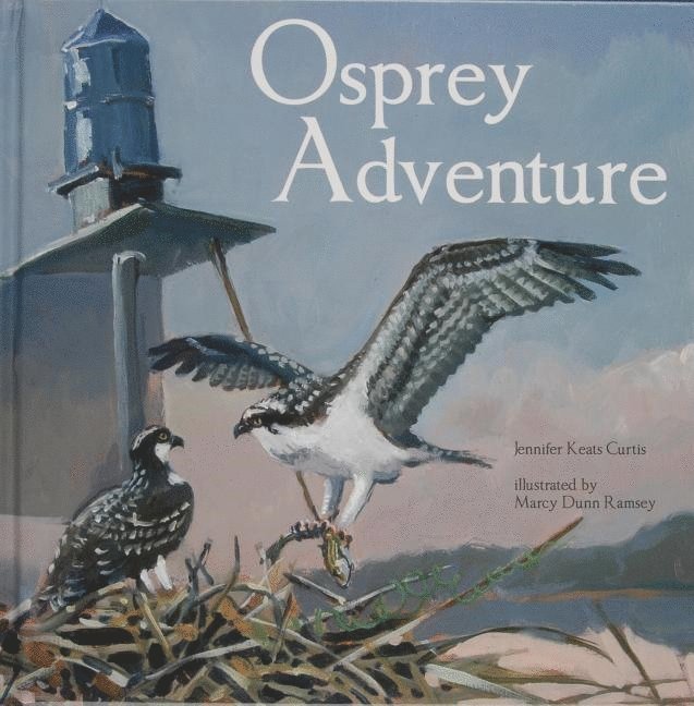 Osprey Adventure 1