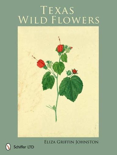 bokomslag Texas Wild Flowers