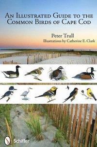 bokomslag Illustrated Guide to the Common Birds of Cape Cod