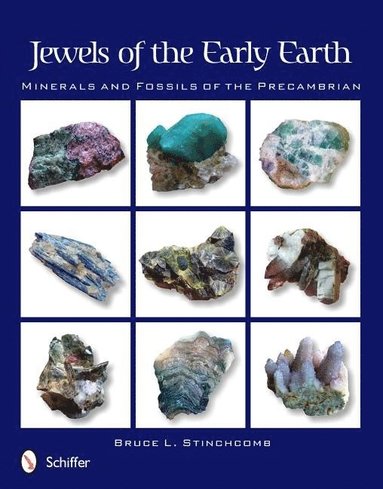 bokomslag Jewels of the Early Earth