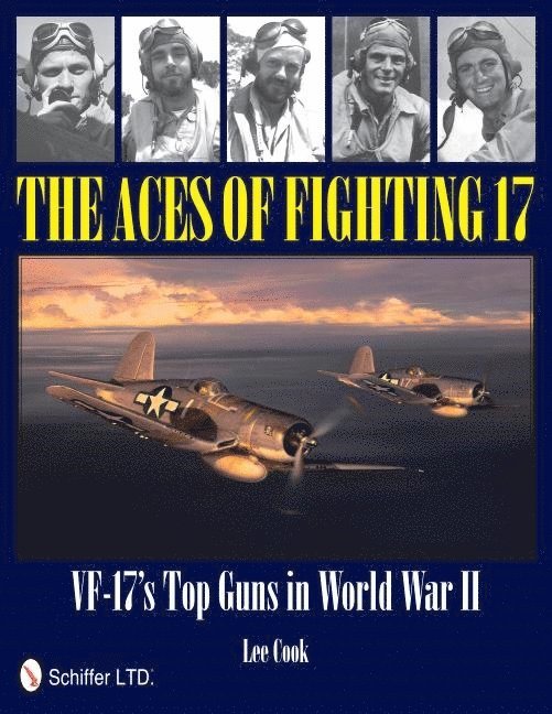 The Aces of Fighting 17 1