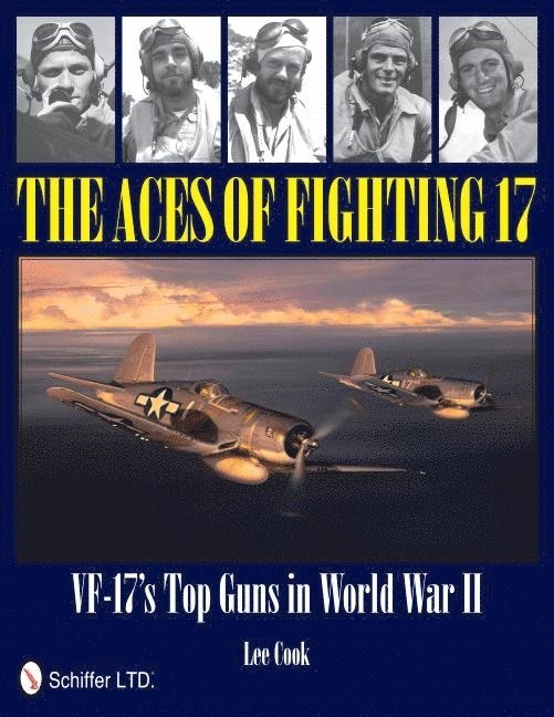 Aces of Fighting 17