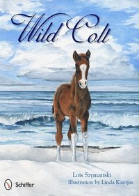 bokomslag Wild Colt
