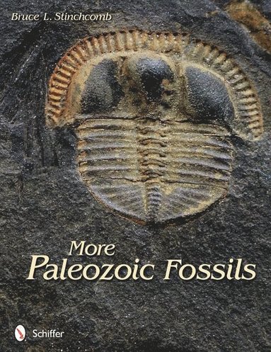 bokomslag More Paleozoic Fossils