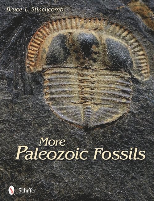 More Paleozoic Fossils 1