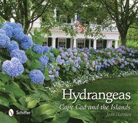 bokomslag Hydrangeas