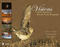 bokomslag Visions: Earth's Elements in Bird and Nature Photography