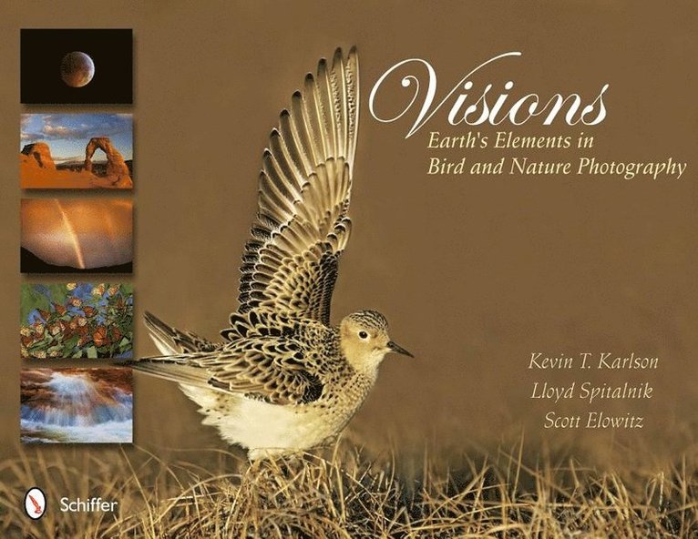 Visions: Earth's Elements in Bird and Nature Photography 1