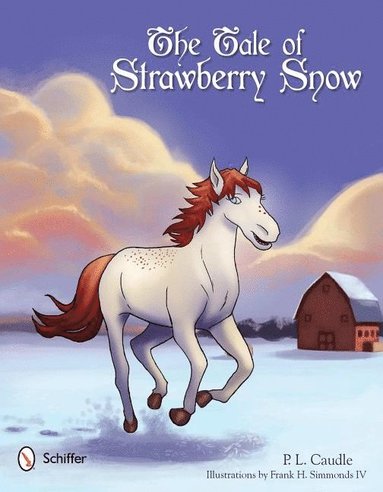 bokomslag Tale of Strawberry Snow