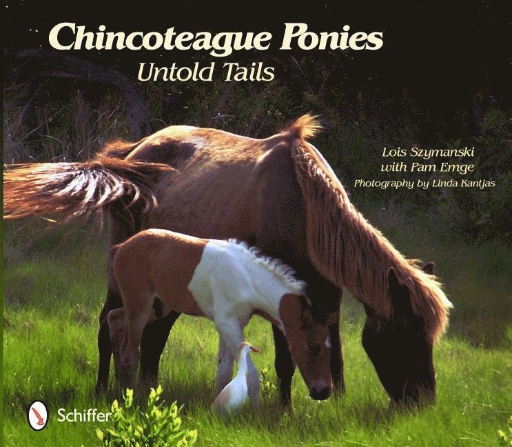 Chincoteague Ponies 1