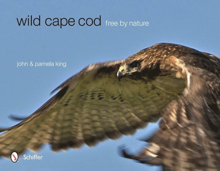 Wild Cape Cod 1