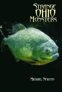 bokomslag Strange Ohio Monsters