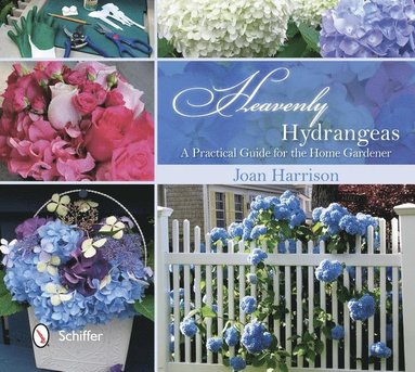 bokomslag Heavenly Hydrangeas