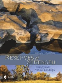 bokomslag Reserves of Strength: Pennsylvania's Natural Landscape