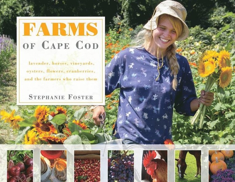 Farms of Cape Cod 1