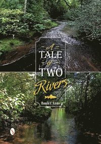 bokomslag Tale of Two Rivers