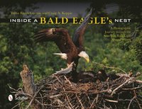 bokomslag Inside a Bald Eagle's Nest