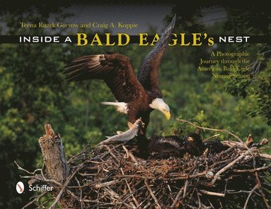 bokomslag Inside a Bald Eagle's Nest