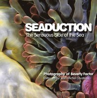 bokomslag Seaduction