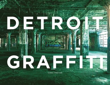 bokomslag Detroit Graffiti