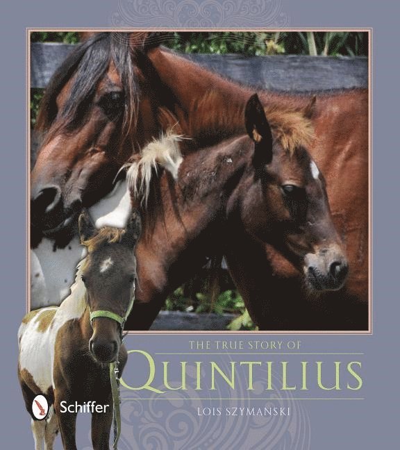 Lois Szymanski, Lois Szymanski - True Story of Quintilius, Häftad