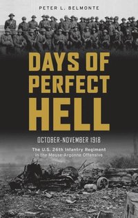 bokomslag Days of Perfect Hell
