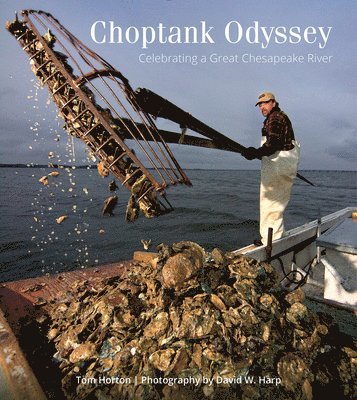 Choptank Odyssey