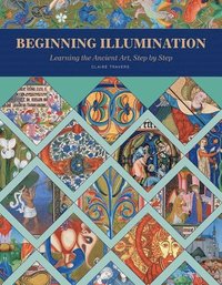 bokomslag Beginning Illumination