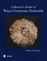 bokomslag Collector's Guide to Texas Cretaceous Echinoids