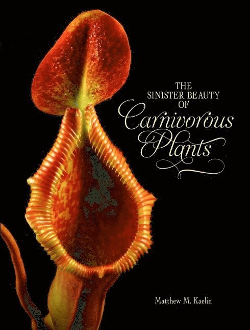 Sinister Beauty of Carnivorous Plants 1