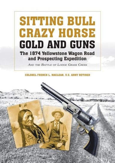 bokomslag Sitting Bull, Crazy Horse, Gold and Guns