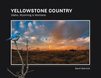 bokomslag Yellowstone Country
