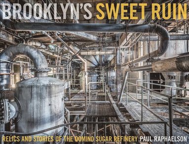 bokomslag Brooklyn's Sweet Ruin
