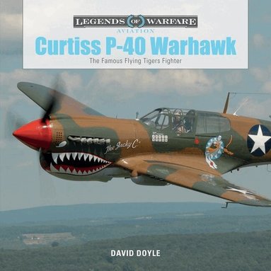 David Doyle - Curtiss P-40 Warhawk, Inbunden