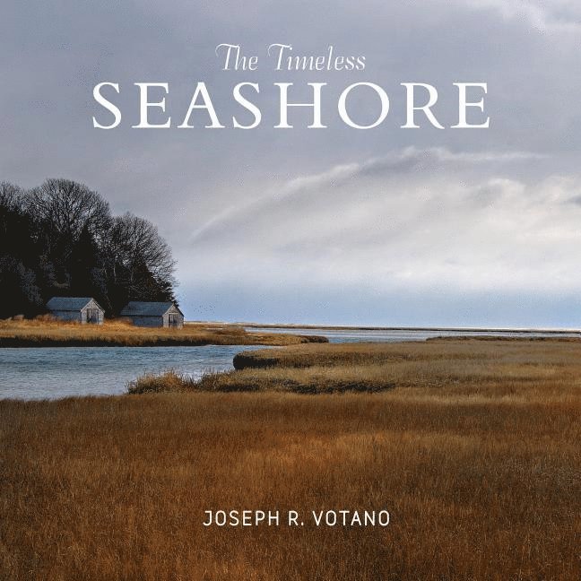 The Timeless Seashore 1