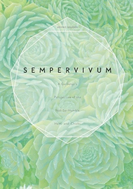Sempervivum 1