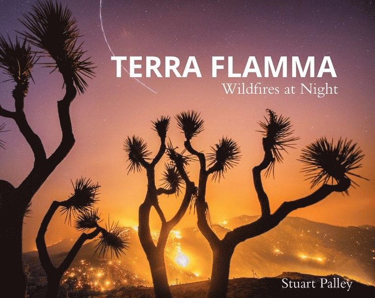 Terra Flamma 1