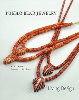 bokomslag Pueblo Bead Jewelry