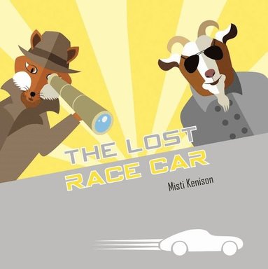 bokomslag Lost Race Car