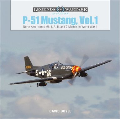 bokomslag P-51 Mustang, Vol. 1