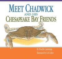 bokomslag Meet Chadwick and His Chesapeake Bay Friends