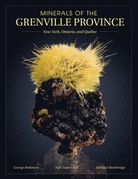 bokomslag Minerals of the Grenville Province