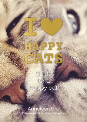 I Love Happy Cats 1