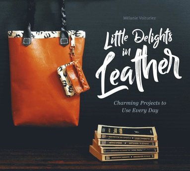 bokomslag Little Delights in Leather
