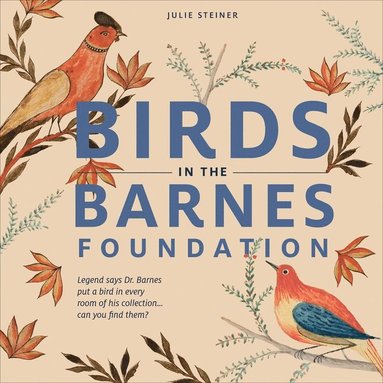 bokomslag Birds in the Barnes Foundation