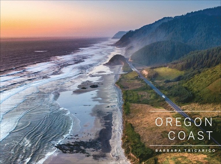 Oregon Coast 1