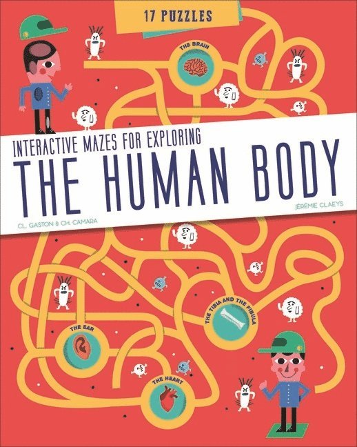 The Human Body 1