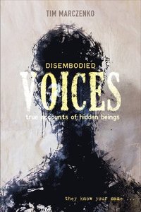 bokomslag Disembodied Voices